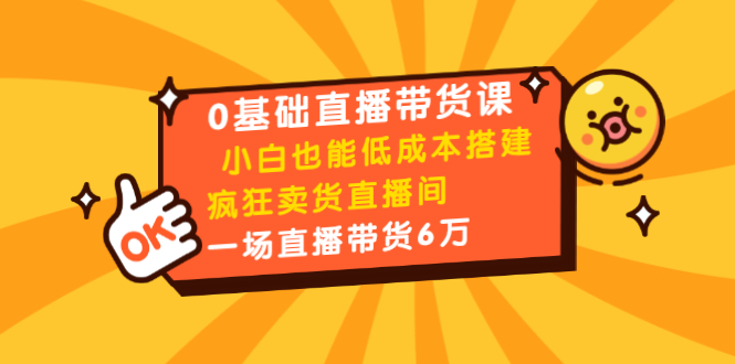 0基础直播带货课：小白也能低成本搭建疯狂卖货直播间：1场直播带货6万-第一资源站