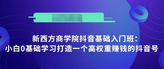 抖音基础入门班：小白0基础学习打造一个高权重赚钱的抖音号-第一资源站