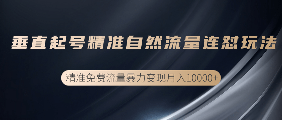 垂直起号精准自然流量连爆玩法，精准引流暴力变现月入10000+-第一资源站