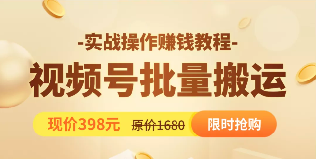 视频号批量运营实战教程，让你一天创作100个高质量视频，日引5W+流量-第一资源站