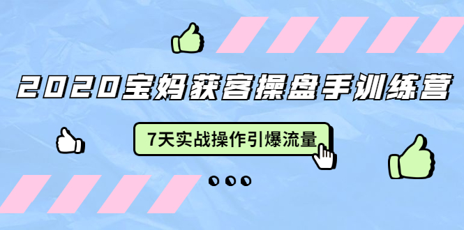 2020宝妈获客操盘手训练营：7天实战操作引爆 母婴、都市、购物宝妈流量-第一资源站