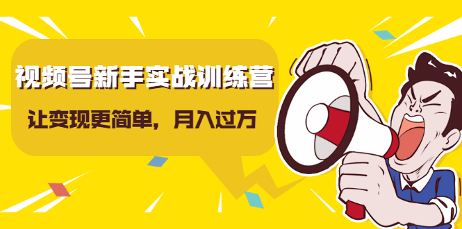 视频号新手实战训练营，让变现更简单，玩赚视频号，轻松月入过万-第一资源站