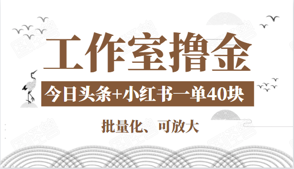 工作室撸金二件套：撸今日头条原创收益+小红书一单利润40块项目-第一资源站