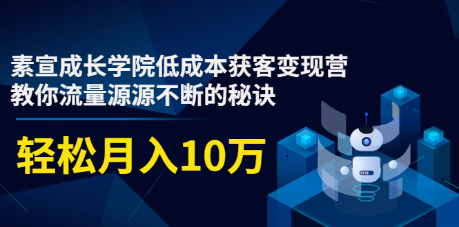 素宣成长学院低成本获客变现营，教你流量源源不断的秘诀，轻松月入10万-第一资源站