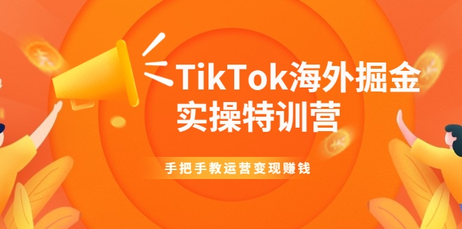 TikTok海外掘金实操特训营：手把手教运营变现赚钱-第一资源站