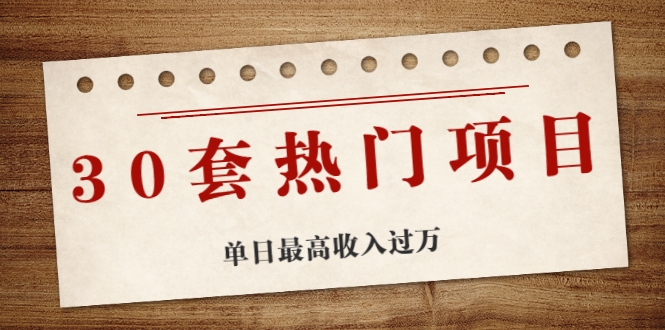 30套热门项目：单日最高收入过万 (网赚项目、朋友圈、涨粉套路、抖音、快手)等-第一资源站