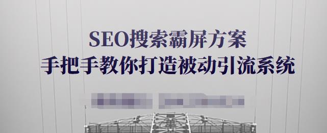 SEO搜索霸屏方案，手把手教你打造被动引流系统【视频课程】-第一资源站