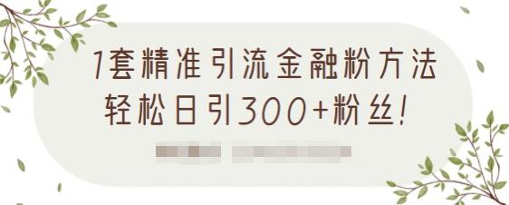 1套精准引流金融粉方法，轻松日引300+粉丝-第一资源站