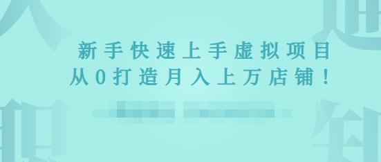 2022年虚拟项目实战指南，新手从0打造月入上万店铺-第一资源站