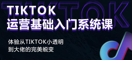 Tiktok实操进阶课程，体验从tiktok小透明到大佬的完美蜕变-第一资源站