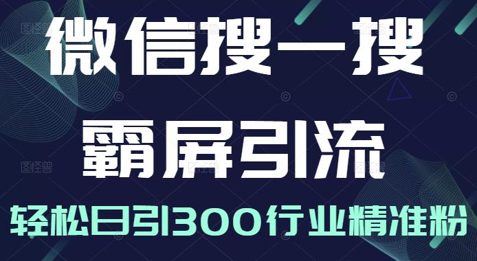 微信搜一搜霸屏引流课，打造被动精准引流系统，轻松日引300行业精准粉-第一资源站