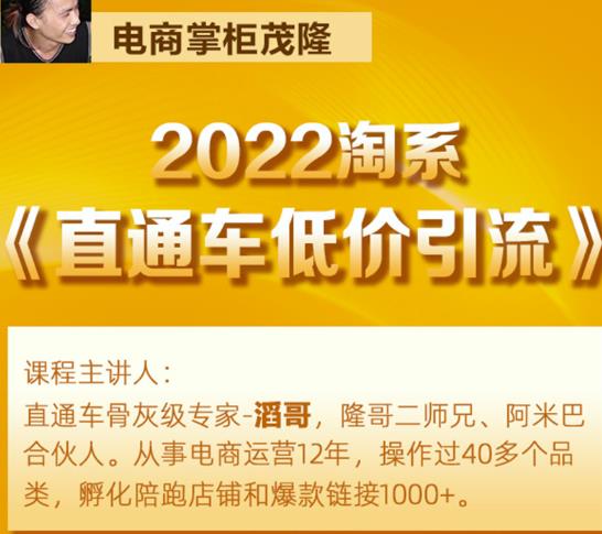 茂隆2022直通车低价引流玩法，教大家如何低投入高回报的直通车玩法-第一资源站