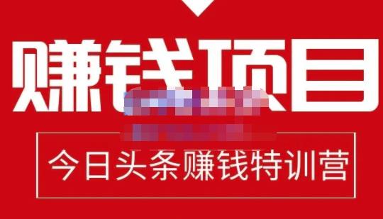 懒人领域·今日头条项目玩法，头条中视频项目，单号收益在50—500可批量-第一资源站