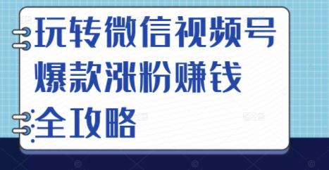 玩转微信视频号爆款涨粉赚钱全攻略，让你快速抓住流量风口，收获红利财富-第一资源站