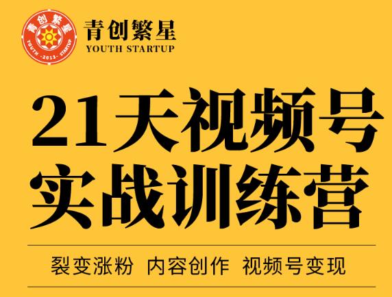 张萌21天视频号实战训练营，裂变涨粉、内容创作、视频号变现 价值298元-第一资源站