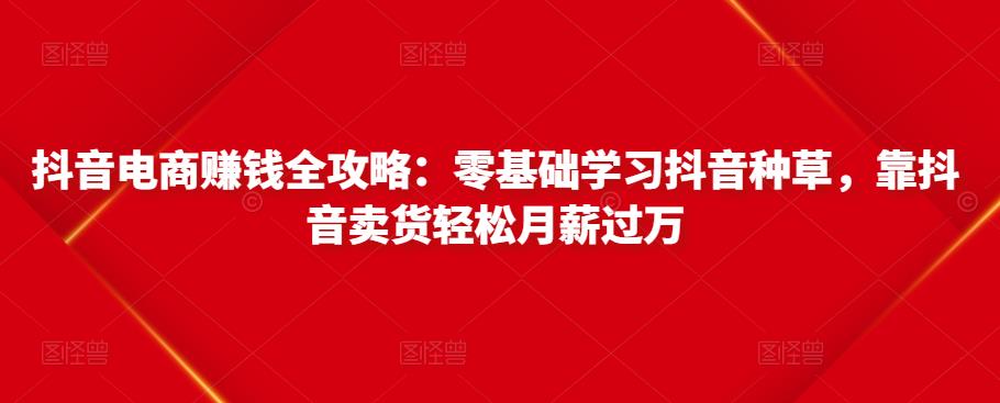 抖音电商赚钱全攻略：零基础学习抖音种草，靠抖音卖货轻松月薪过万-第一资源站