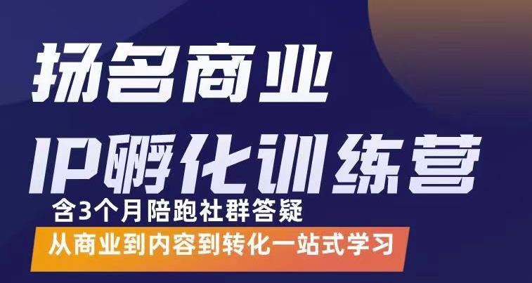 杨名商业IP孵化训练营，从商业到内容到转化一站式学 价值5980元-第一资源站