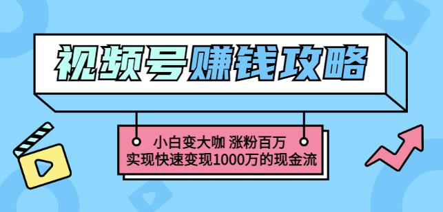 玩转微信视频号赚钱：小白变大咖涨粉百万实现快速变现1000万的现金流-第一资源站