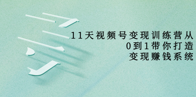 11天视频号变现训练营，从0到1打造变现赚钱系统（价值398元）-第一资源站