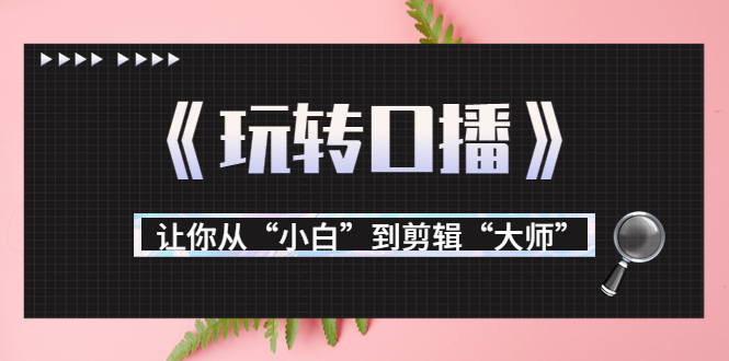 月营业额700万+大佬教您《玩转口播》让你从“小白”到剪辑“大师”-第一资源站