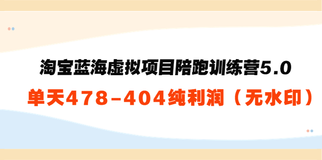 淘宝蓝海虚拟项目陪跑训练营5.0：单天478纯利润-第一资源站