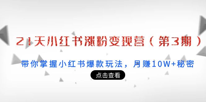 21天小红书涨粉变现营（第3期）：带你掌握小红书爆款玩法，月赚10W+秘密-第一资源站