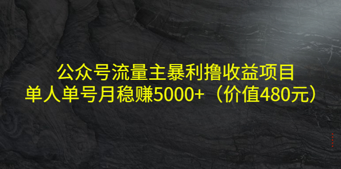 公众号流量主暴利撸收益项目，单人单号月稳赚5000+（价值480元）-第一资源站