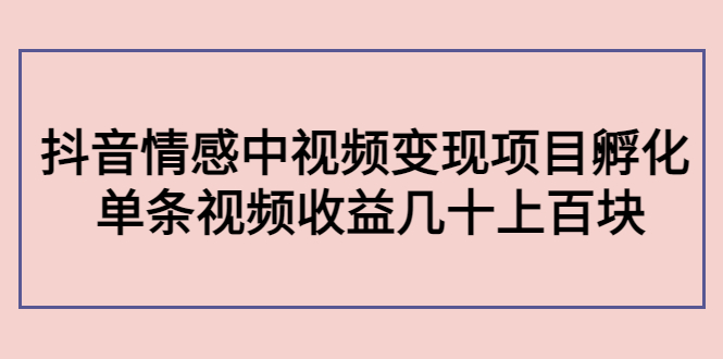 副业孵化营第5期：抖音情感中视频变现项目孵化 单条视频收益几十上百-第一资源站