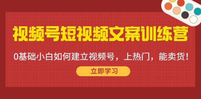 视频号短视频文案训练营：0基础小白如何建立视频号，上热门，能卖货！-第一资源站