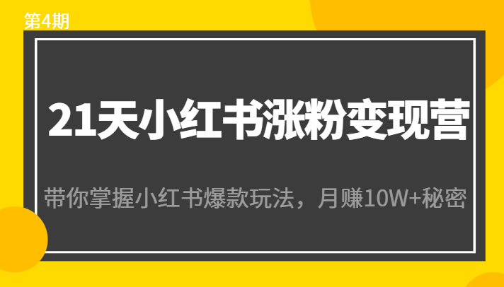 21天小红书涨粉变现营（第4期）：带你掌握小红书爆款玩法，月赚10W+秘密-第一资源站