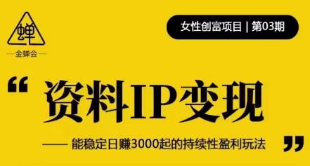 资料IP变现，能稳定日赚3000起的持续性盈利玩法-第一资源站