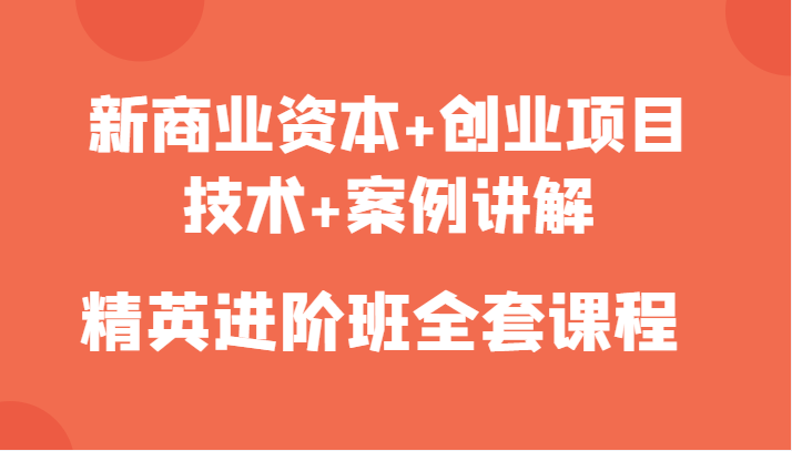 新商业资本+创业项目，技术+案例讲解，精英进阶班全套课程-第一资源站