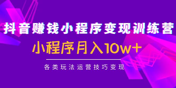 抖音赚钱小程序变现训练营：小程序月入10w+各类玩法运营技巧变现-第一资源站