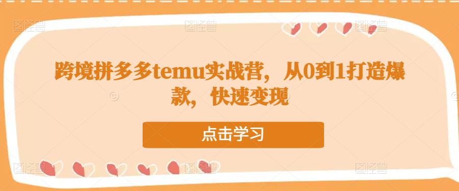 跨境拼多多temu实战营，从0到1打造爆款，快速变现-第一资源站