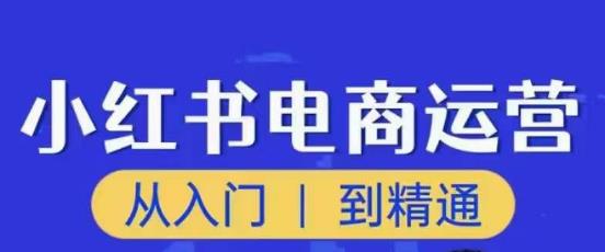 顽石小红书电商高阶运营课程，从入门到精通，玩法流程持续更新-第一资源站