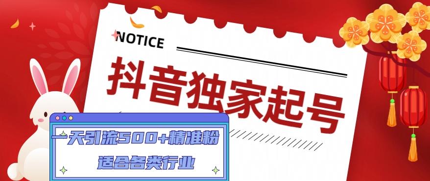 抖音独家起号，一天引流500+精准粉，适合各类行业（9节视频课）-第一资源站