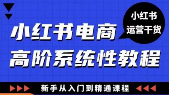 小红书电商高阶系统教程，新手从入门到精通系统课-第一资源站