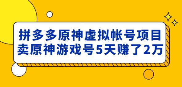 外面卖2980的拼多多原神虚拟帐号项目：卖原神游戏号5天赚了2万-第一资源站