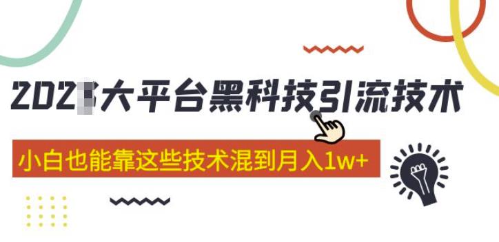 大平台黑科技引流技术，小白也能靠这些技术混到月入1w+(2022年的课程）-第一资源站