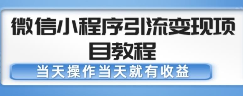 微信小程序引流变现项目教程，当天操作当天就有收益，变现不再是难事-第一资源站