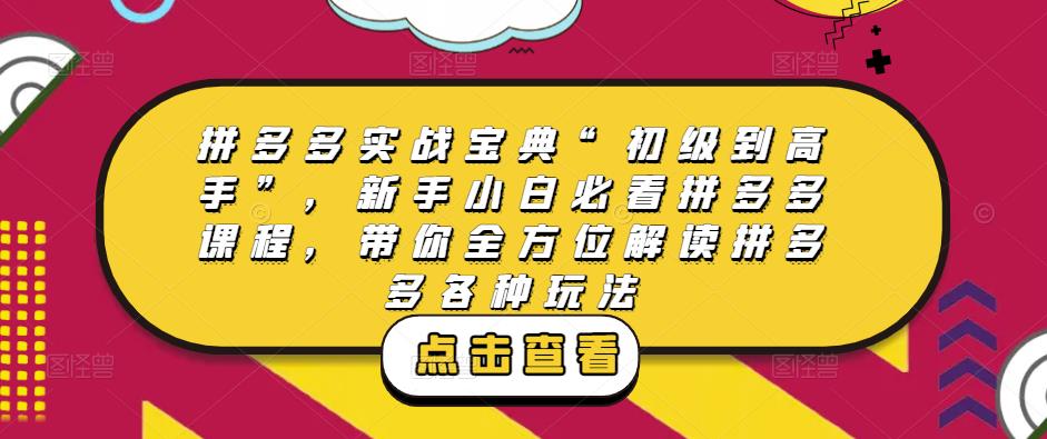 拼多多实战宝典“初级到高手”，新手小白必看拼多多课程，带你全方位解读拼多多各种玩法-第一资源站