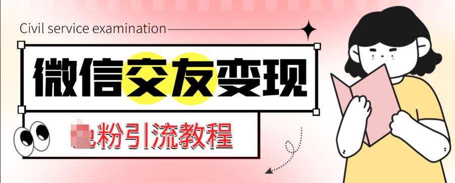 微信交友变现项目，吸引全网LSP男粉精准变现，小白也能轻松上手，日入500+-第一资源站