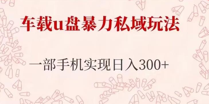 车载u盘暴力私域玩法，长期项目，仅需一部手机实现日入300+-第一资源站