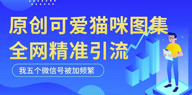 黑科技纯原创可爱猫咪图片，全网精准引流，实操5个VX号被加频繁-第一资源站