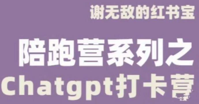 谢无敌ChatGPT打卡营，教你更好地使用ChatGPT来提高工作效率-第一资源站