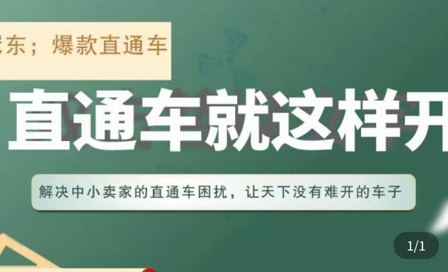 冠东·淘系直通车保姆级教程，全面讲解直通车就那么简单-第一资源站