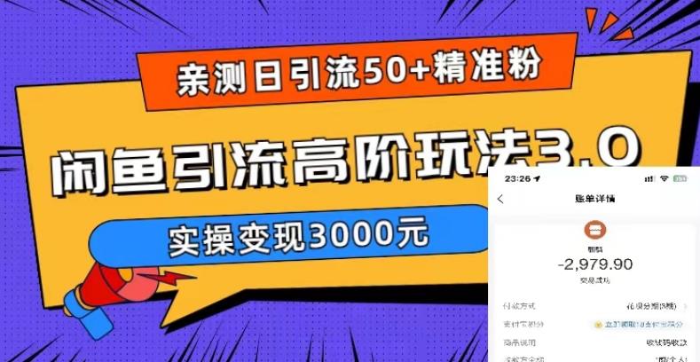 亲测日引50+精准粉，闲鱼引流高阶玩法3.0，实操变现3000元【揭秘】-第一资源站