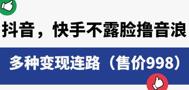 抖音快手不露脸撸音浪项目，多种变现连路（售价998）-第一资源站