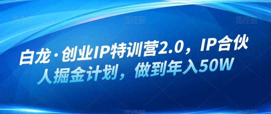 白龙·创业IP特训营2.0，IP合伙人掘金计划，做到年入50W-第一资源站