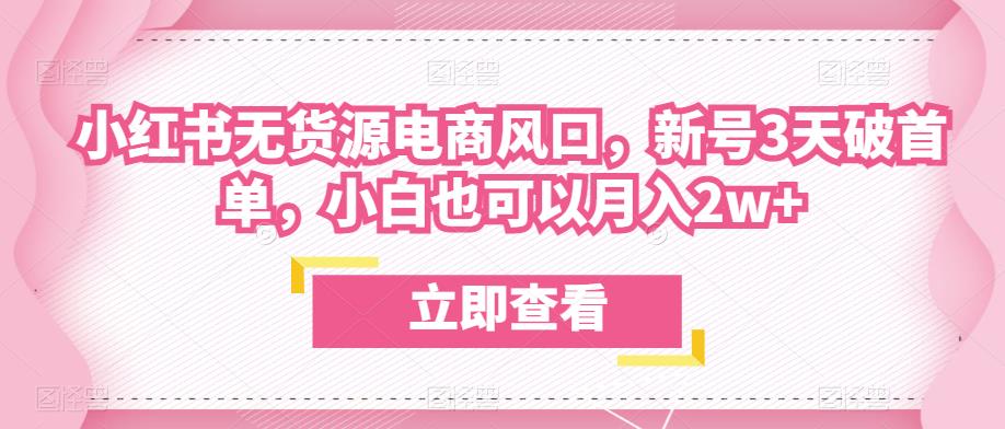 众狼电商余文小红书无货源电商风口，新号3天破首单，小白也可以月入2w+-第一资源站